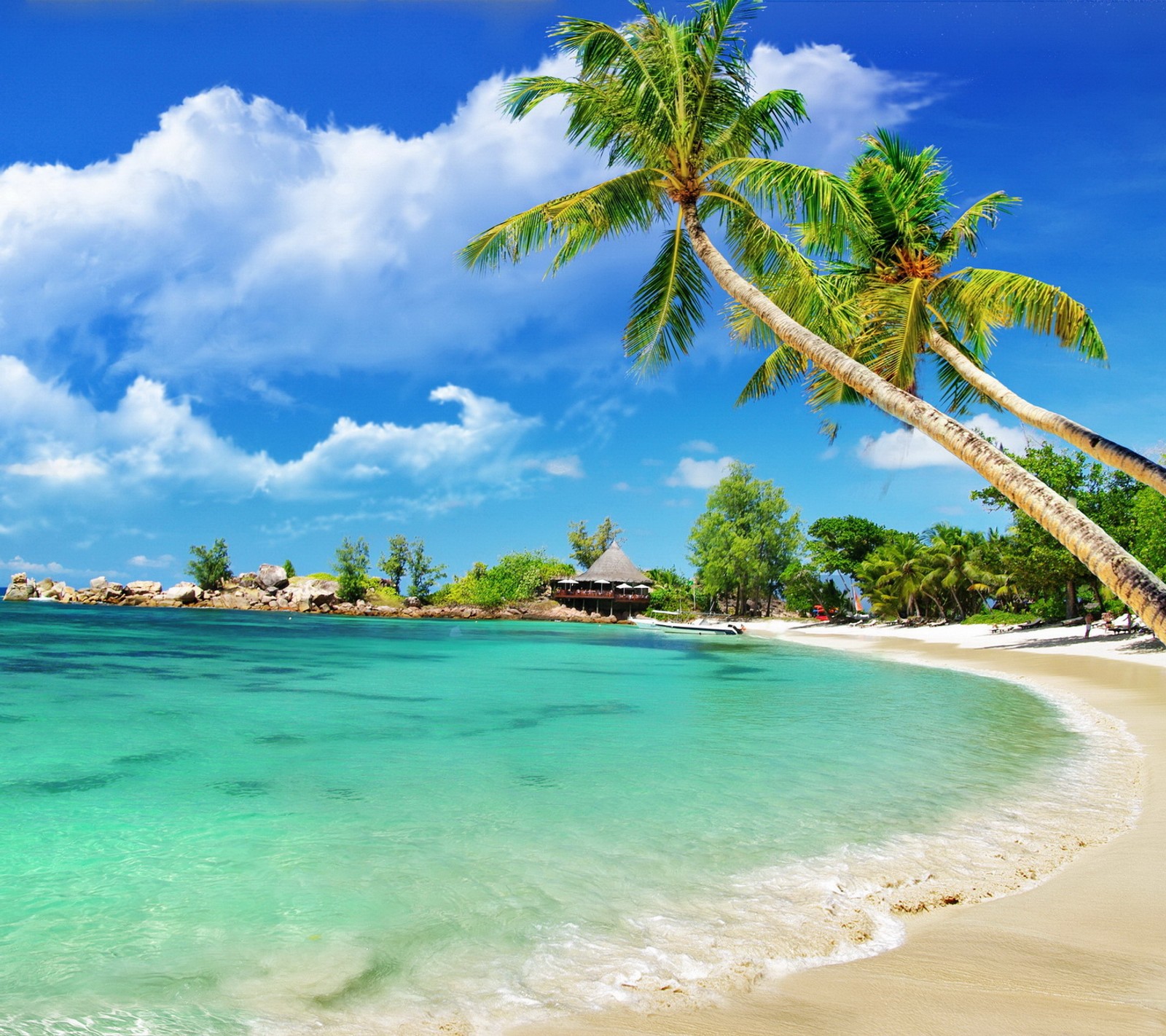 Une vue d'une plage avec des palmiers et un ciel bleu (plage, lagune, palmiers, mer, été)