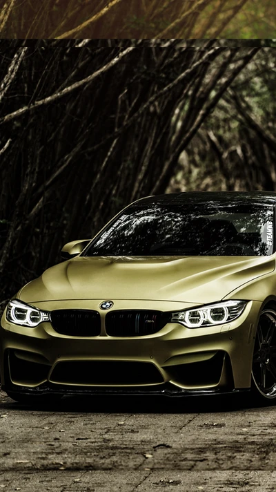 Estiloso BMW M4 em verde oliva fosco em meio a um exuberante fundo de floresta