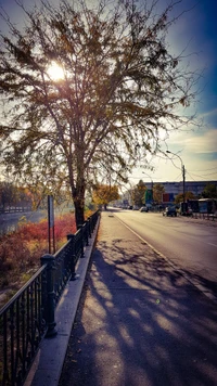 Herbstliche Gelassenheit entlang des Dâmbovița-Flusses in Bukarest