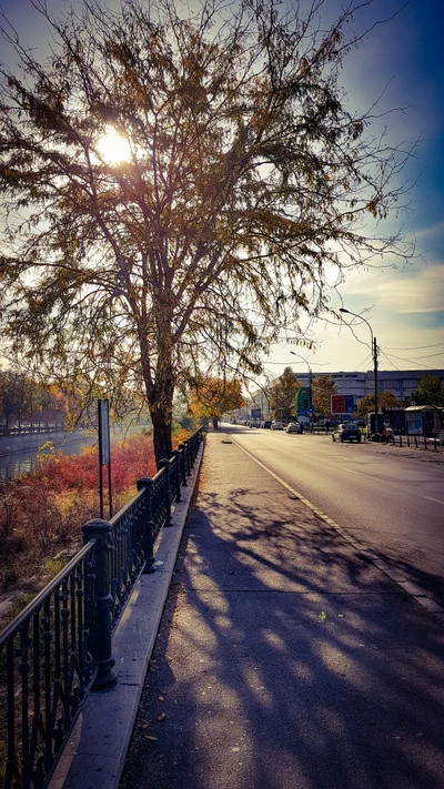 Autumn Serenity Along the Dâmbovița River in Bucharest