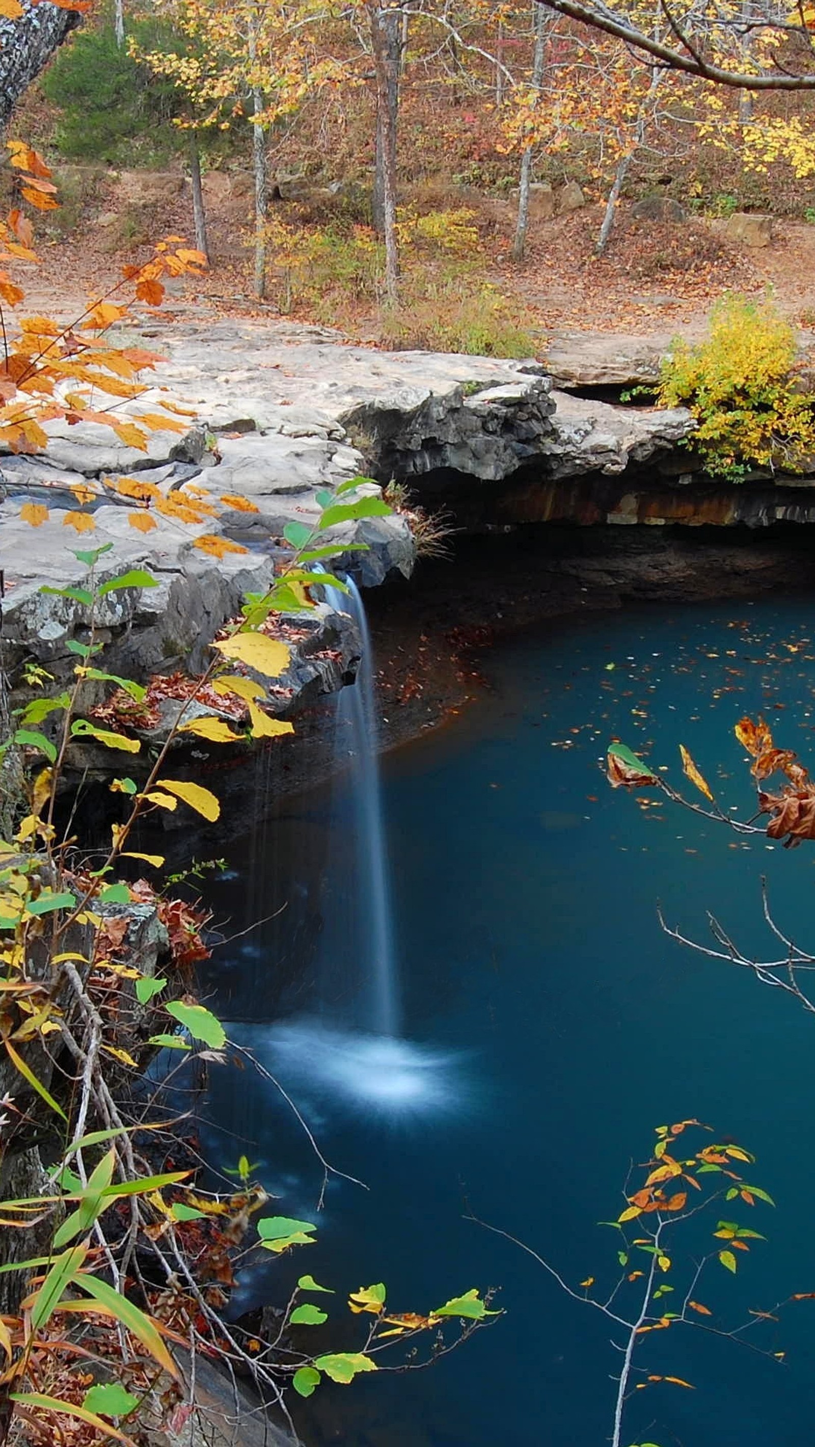 Uma cachoeira que flui sobre uma parede de pedra (outono, paisagem, árvores, água)