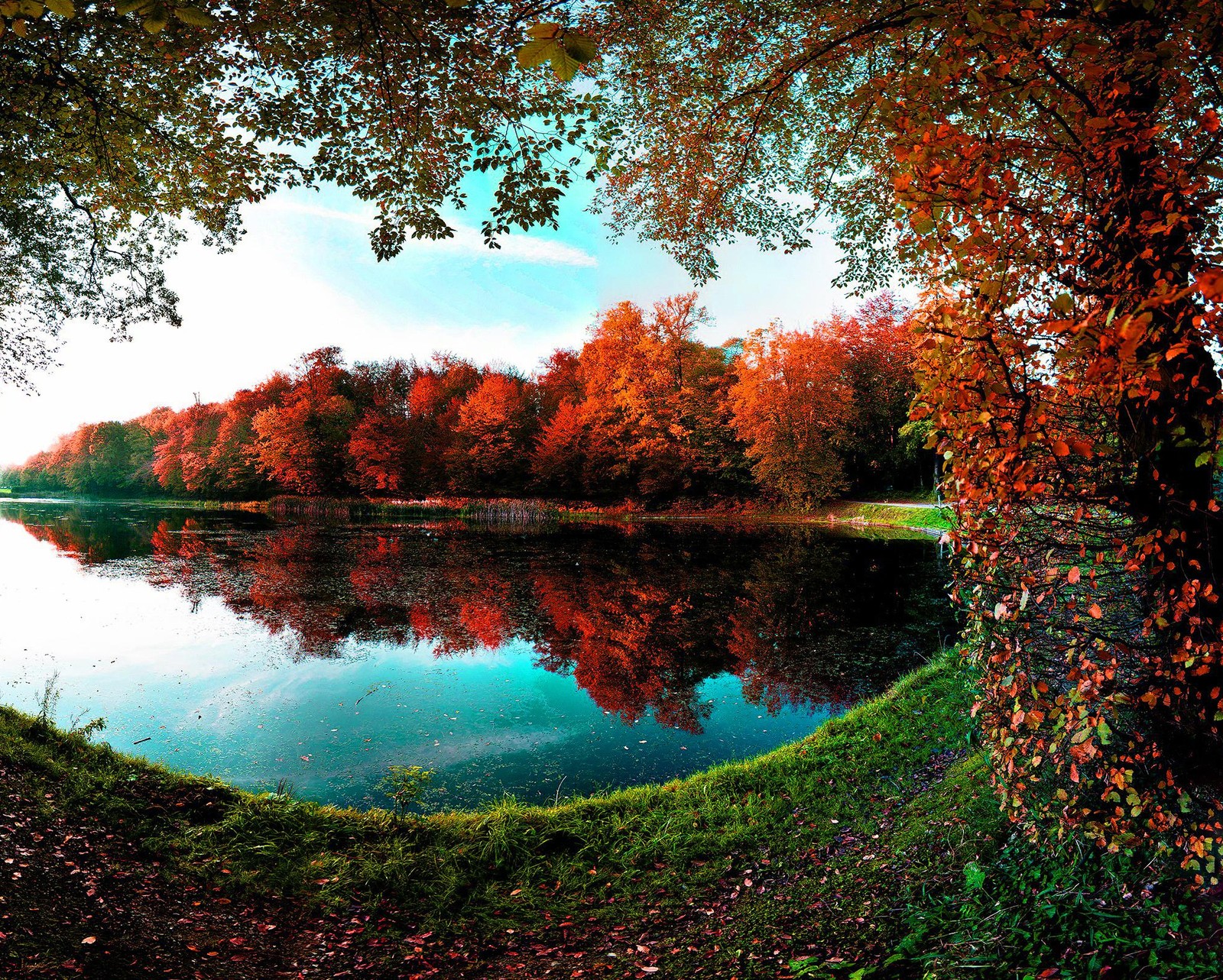 Uma vista de um lago cercado por árvores com folhas vermelhas (floresta, lago, folhas, reflexo, árvores)