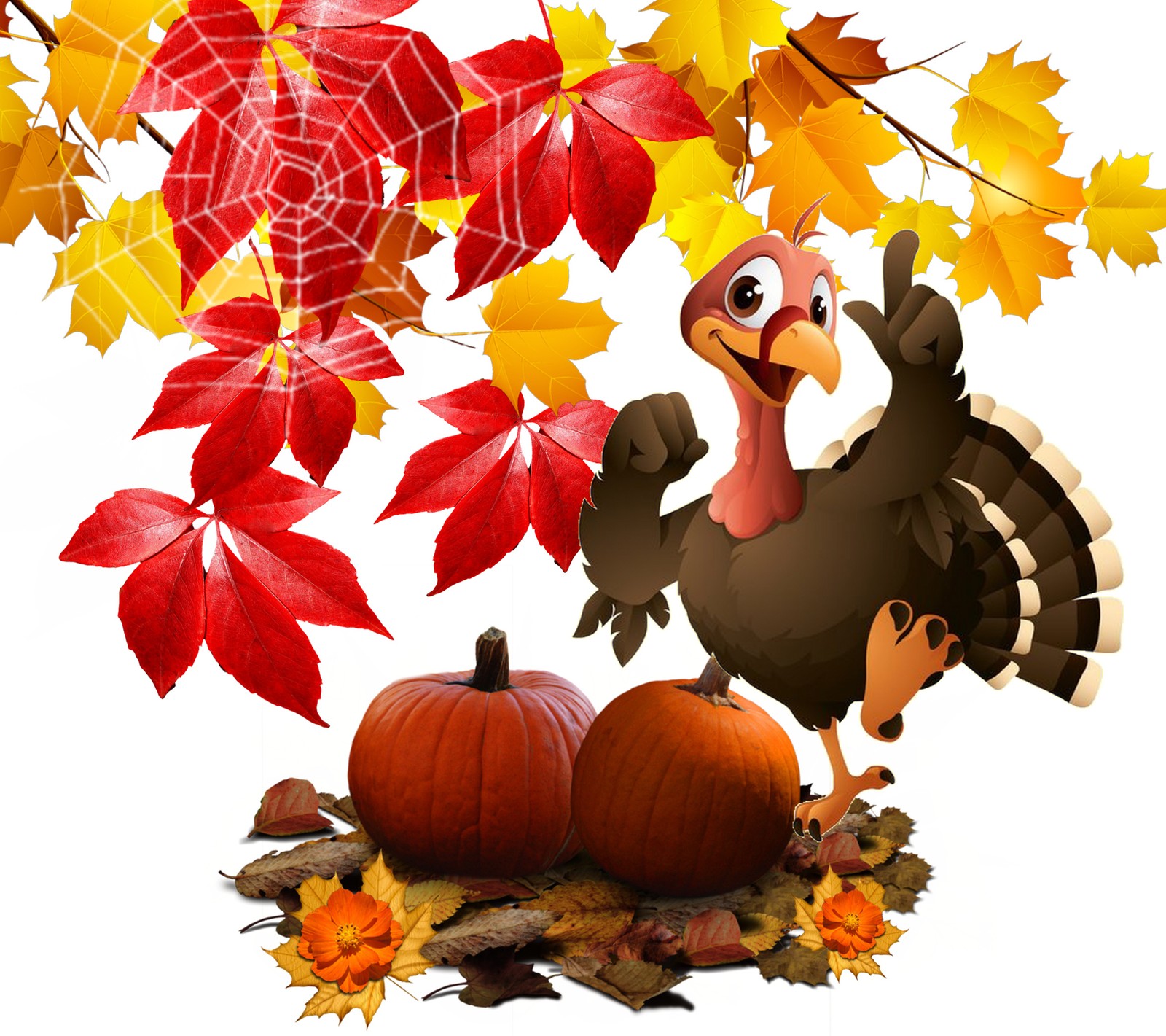 autumn, happy thanksgiving wallpaper