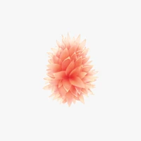 pomme, fleur, ios, iphone, plante