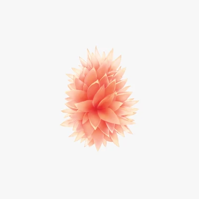 manzana, flor, ios, iphone, planta