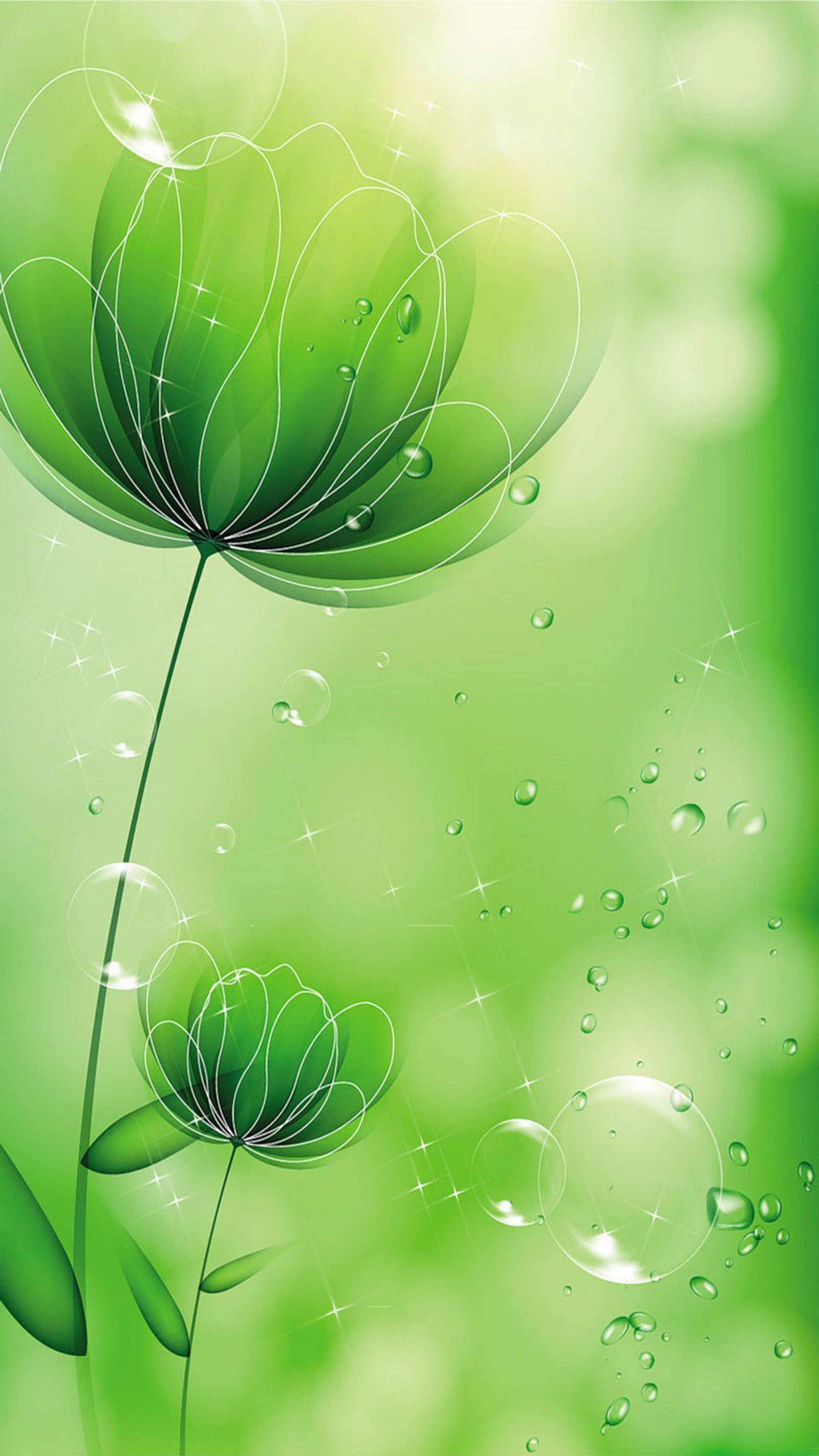 There is a green background with a flower and bubbles (hd, green, background, flowers, wallpapers)