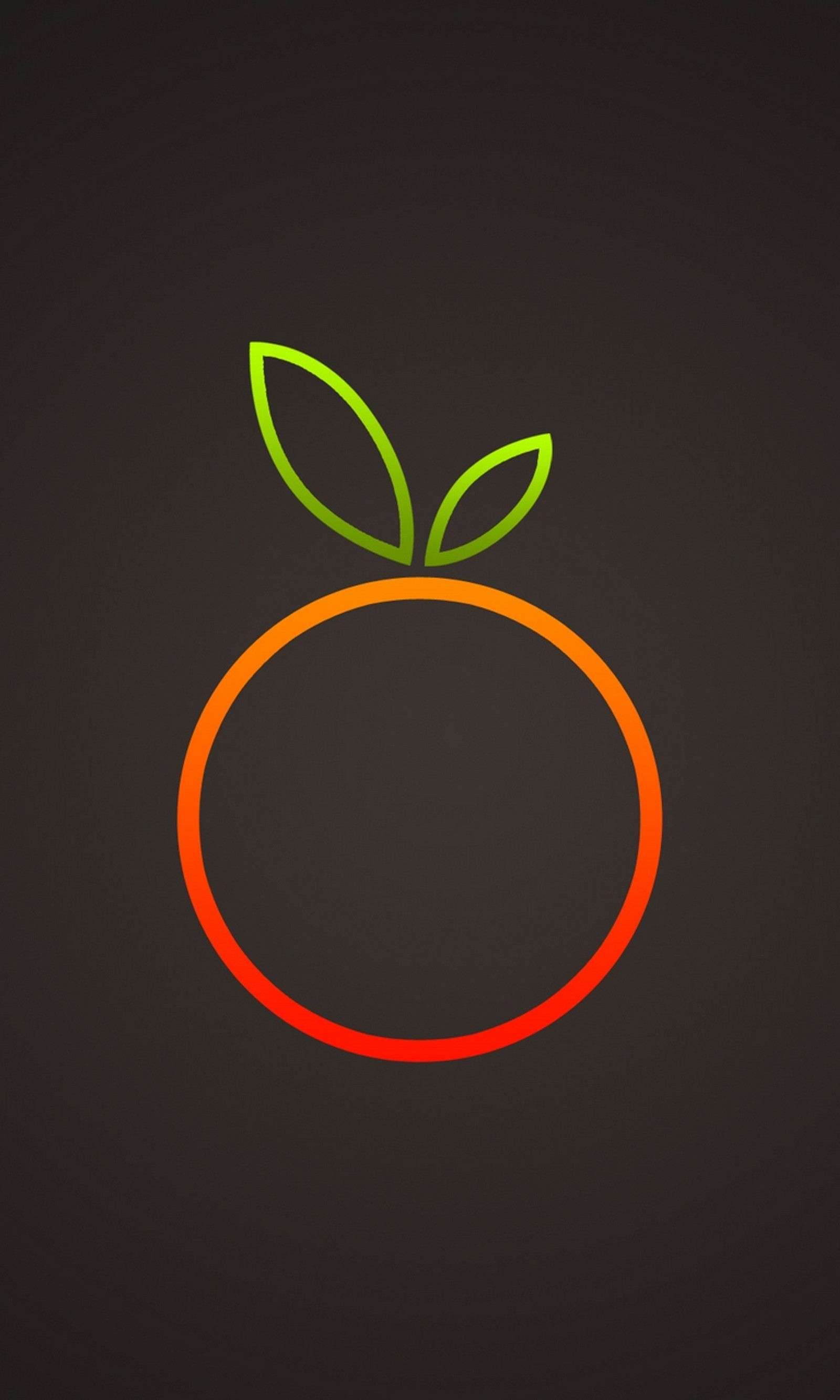 Il y a une image d'une orange avec une feuille verte dessus. (fruit, orange)