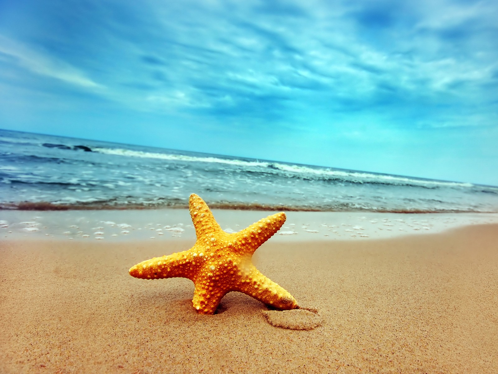 Une étoile de mer sur la plage avec l'océan en arrière-plan (incroyable, nature)