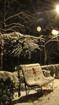 nuit, neige