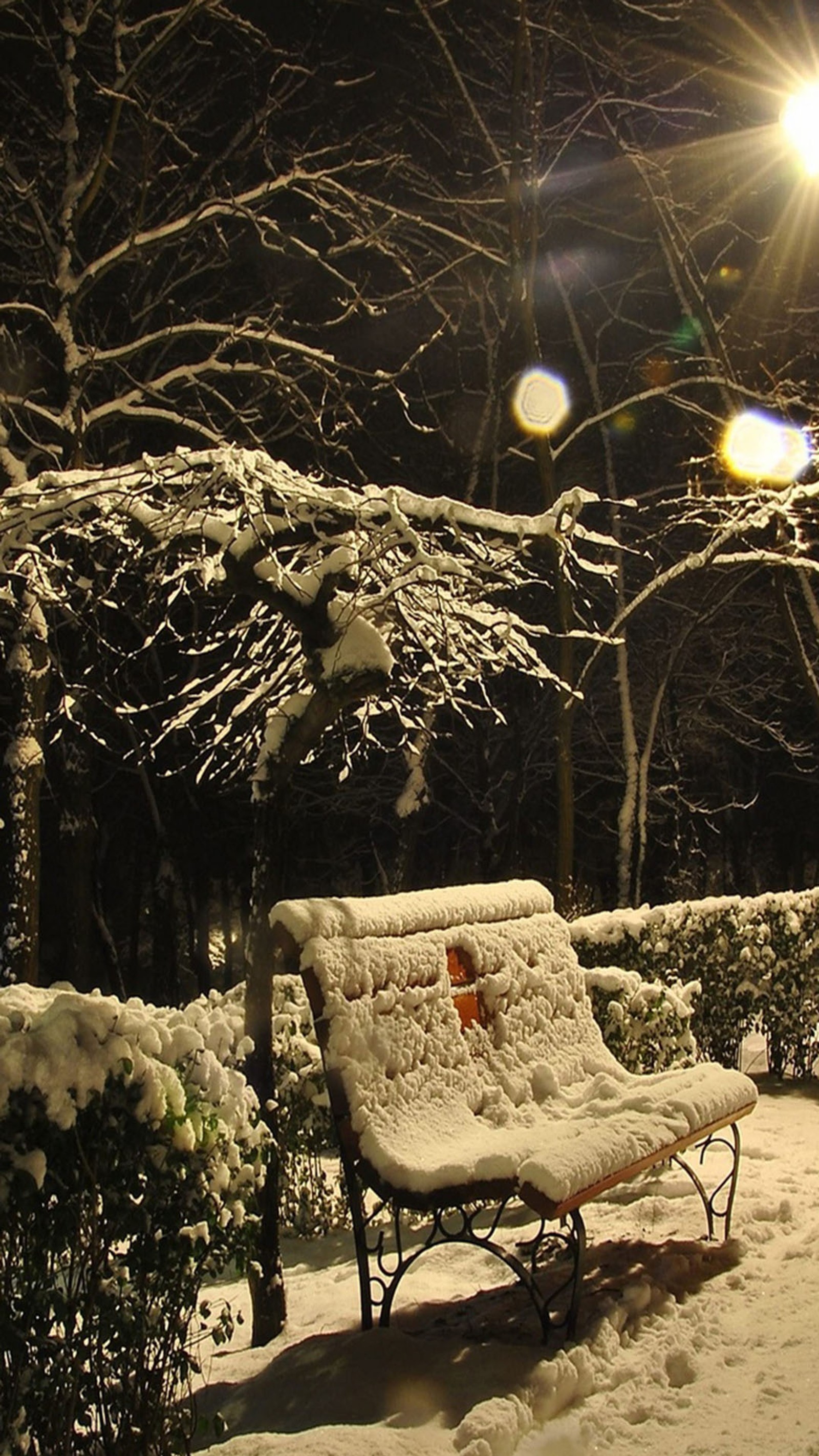 Um banco nevado em um parque à noite com um lampião (noite, neve)