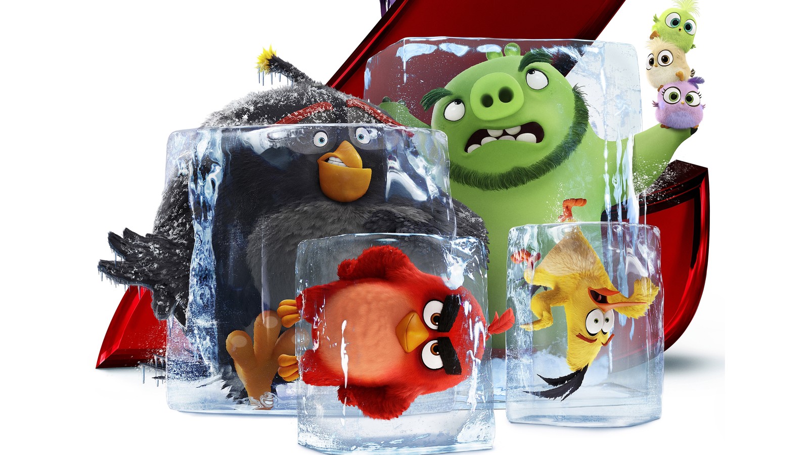 Les oiseaux en colère sont assis dans une boîte rouge avec de la glace (angry birds le film 2, angry birds movie 2, bombe, rouge, chuck)