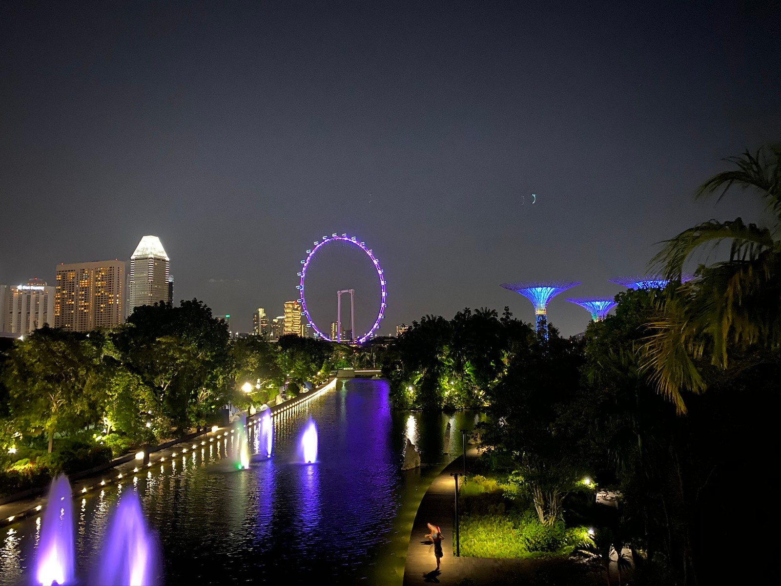 Vue aérienne d'une ville la nuit avec une grande roue au loin (singapour, réflexion, nuit, métropole, point de repère)