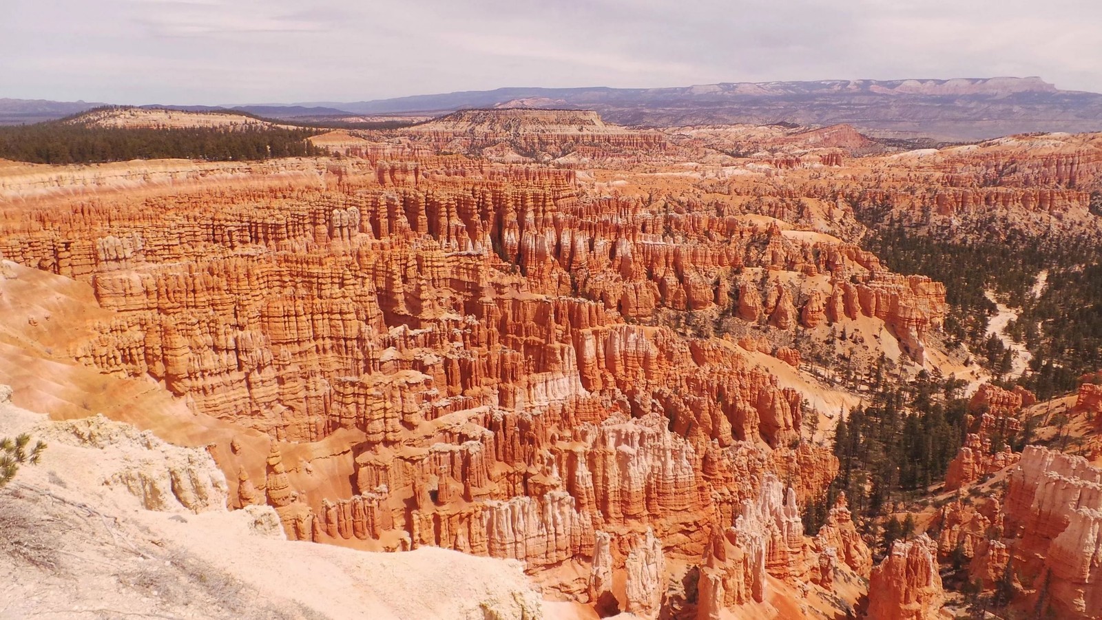 Canyon araffe dans le parc national de bryce, utah (parc national de bryce canyon, parc national, badlands, formation, canyon)