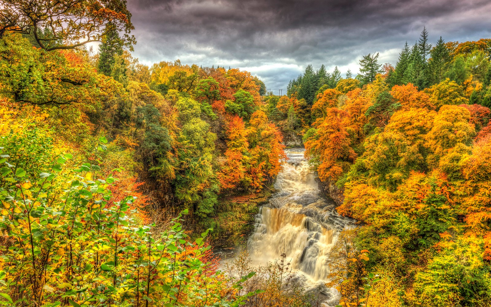 autumn, nature, leaf, vegetation, nature reserve wallpaper