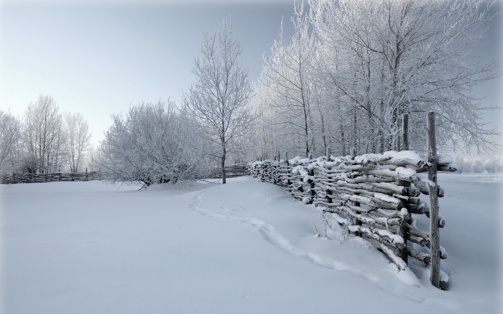 Um cercado nevado no meio de um campo com árvores e neve (inverno, neve, árvore, congelamento, geada)