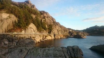 Falaises côtières dramatiques surplombant une crique tranquille, encadrées par des rochers escarpés et une végétation luxuriante.