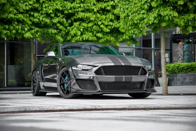 Clive Sutton Mustang CS850GT: Стильная производственная икона 2021 года среди пышной зелени