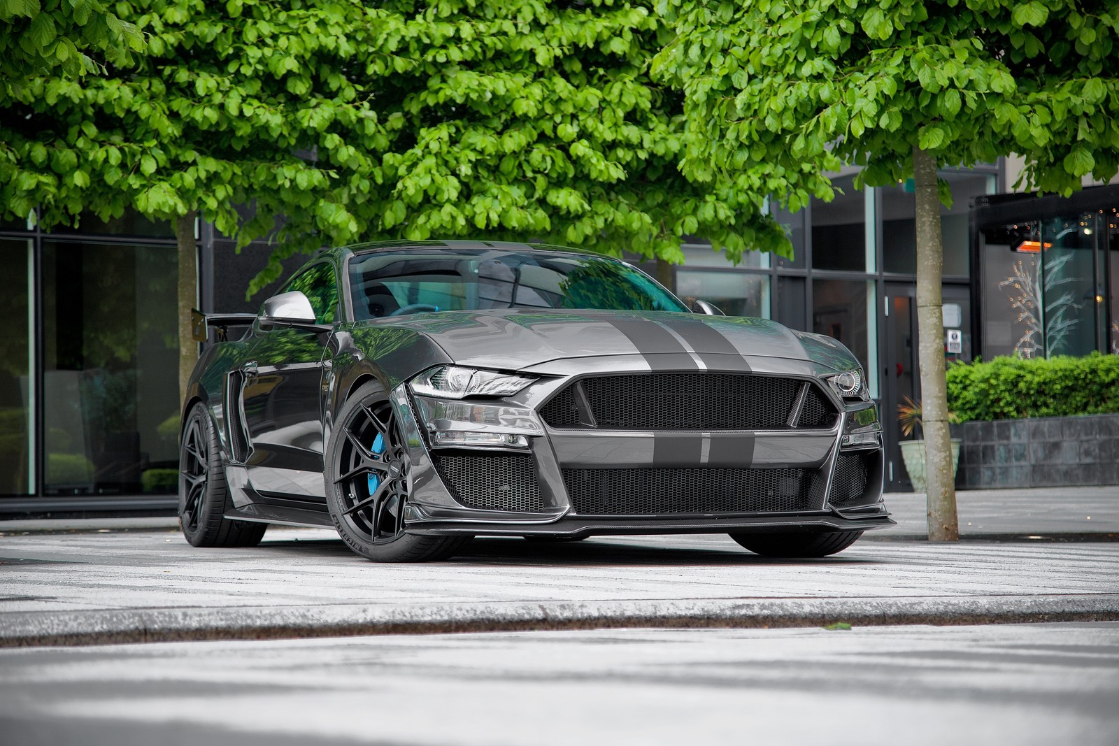 Un mustang gris estacionado al lado de una calle junto a un árbol (clive sutton mustang cs850gt, 2021, coches, fondo de pantalla 4k)