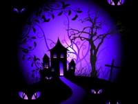 dunkel, halloween, nacht, purple night