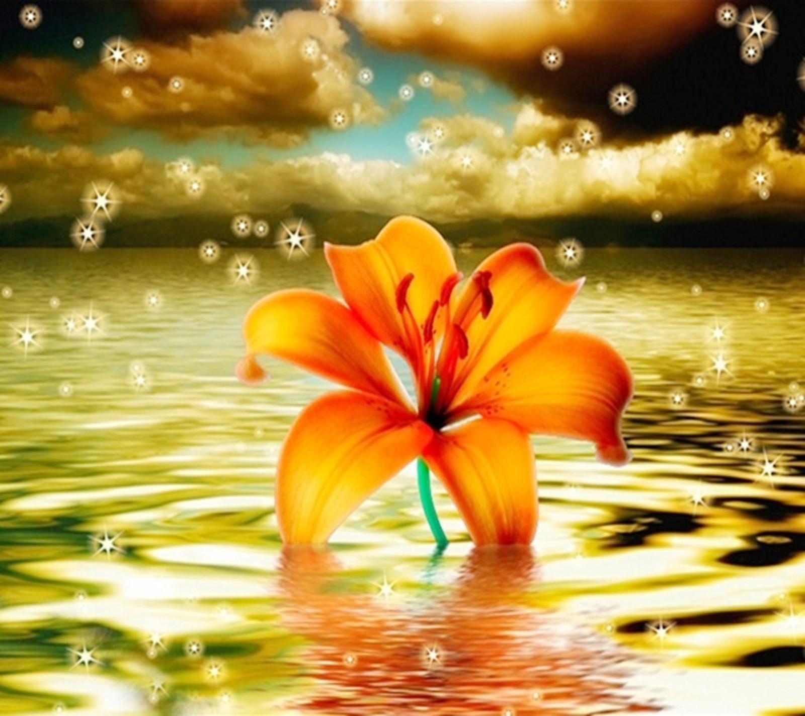 A close up of a flower in the water with bubbles (flower, flowers, grass, nature, nice)