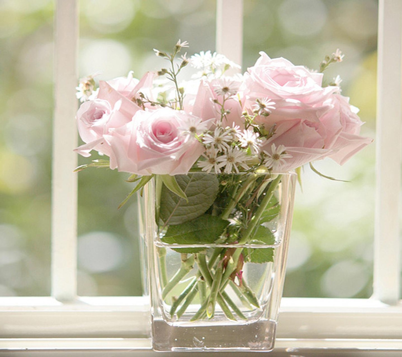 Hay un jarrón con rosas rosas en el alféizar de una ventana (bonito papel de parede, rosas)