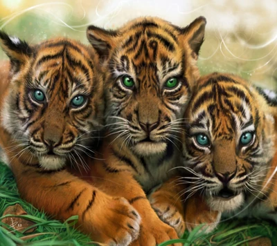 babys, tiger