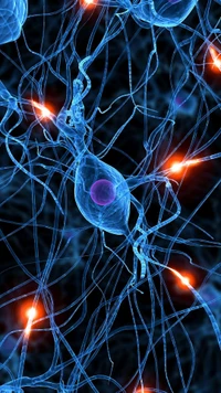 Représentation abstraite des neurones et des réseaux cellulaires