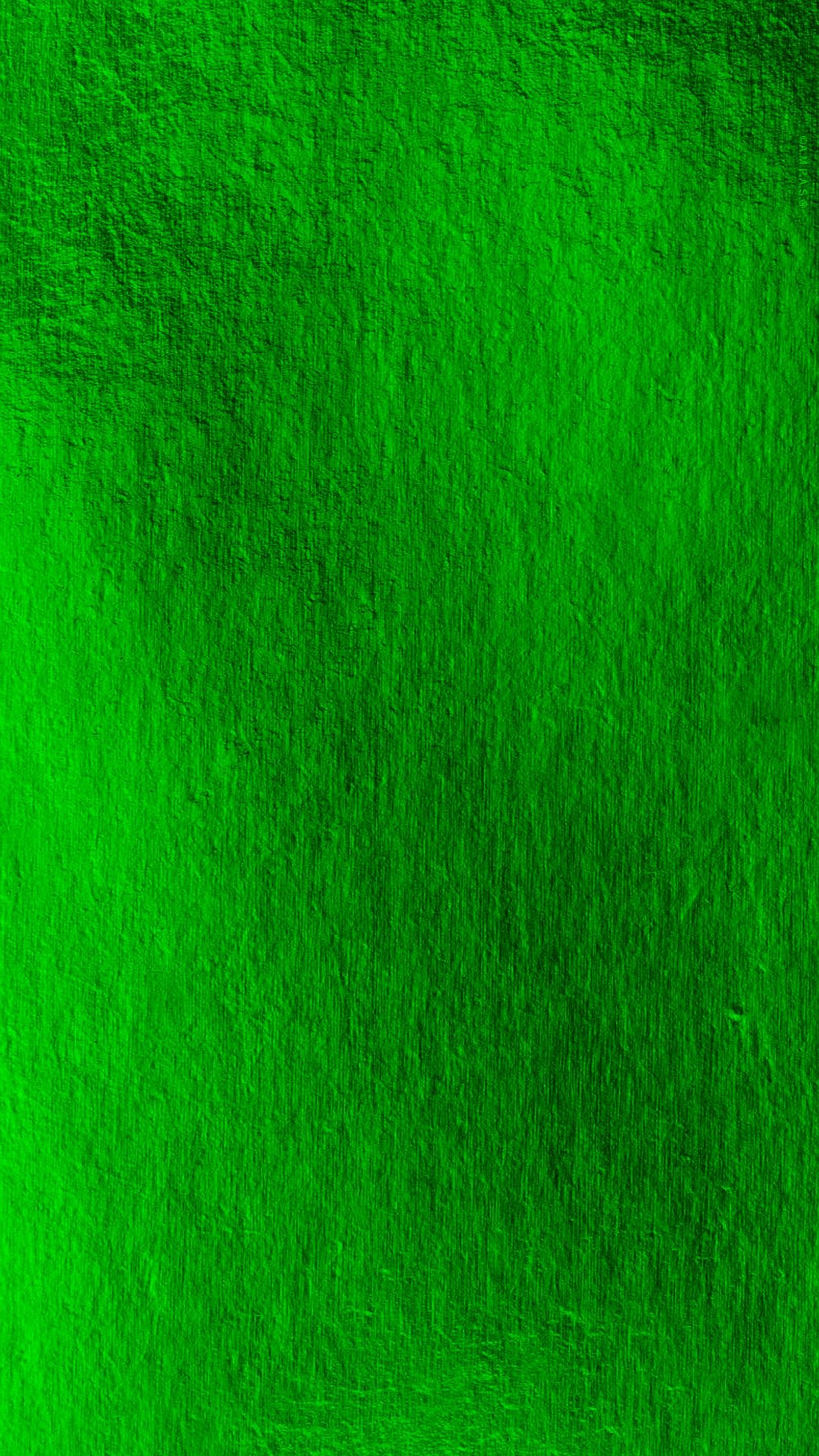 A close up of a green background with a black and white picture (green, texture)