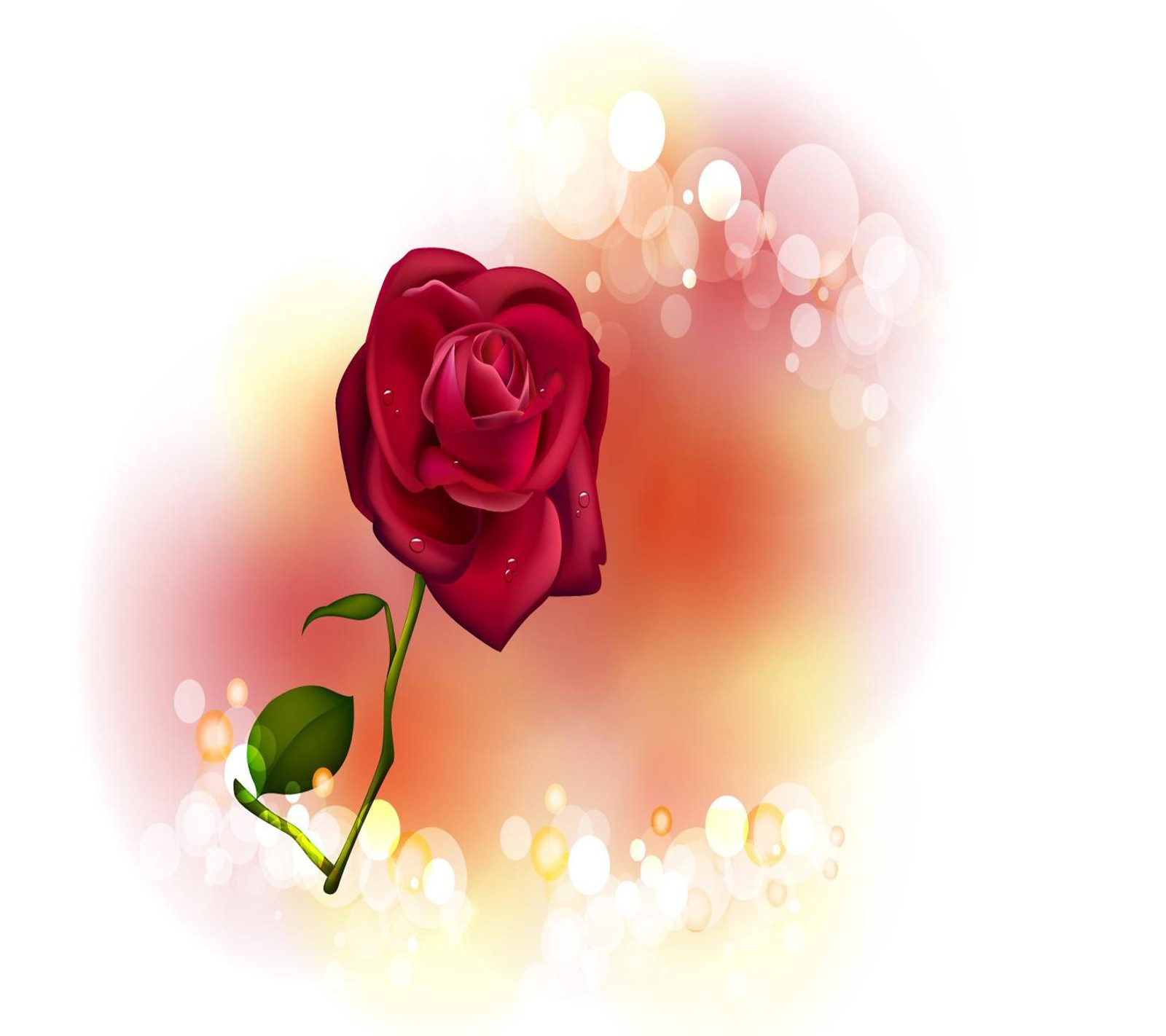 There is a rose that is on a stem with a blurry background (rose, wallpaper)