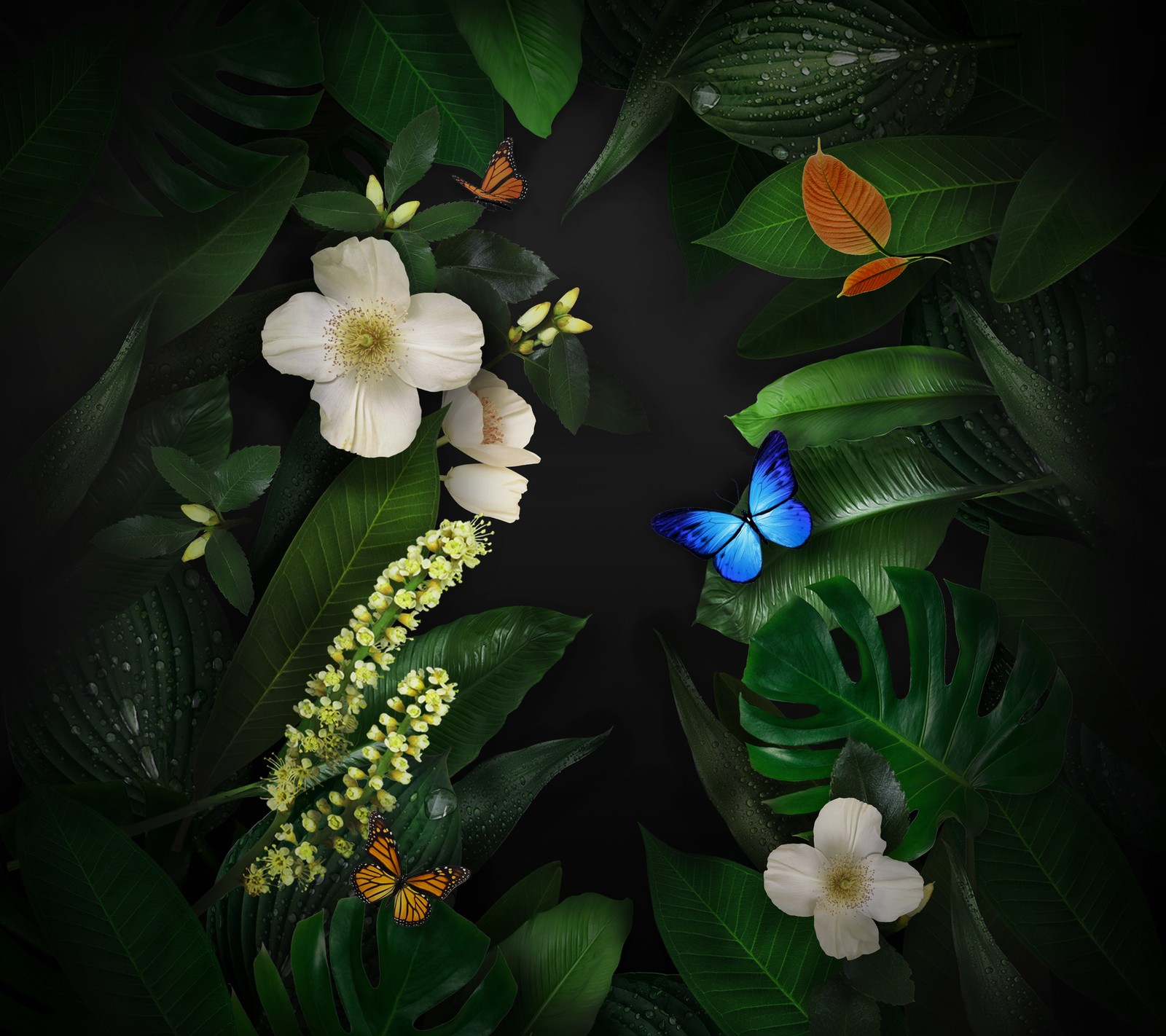 Hay muchas flores y mariposas diferentes en la oscuridad (mariposa, flores, fondos de pantalla de huawei mate 10, huawei mate 10 wallpapers, hojas)