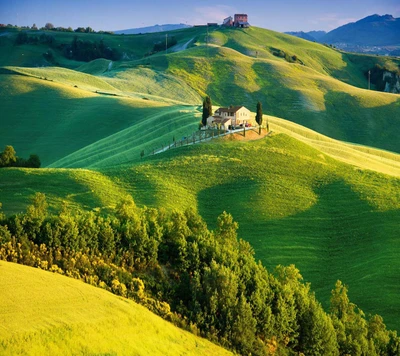 Maison sereine sur la colline entourée de verdure luxuriante