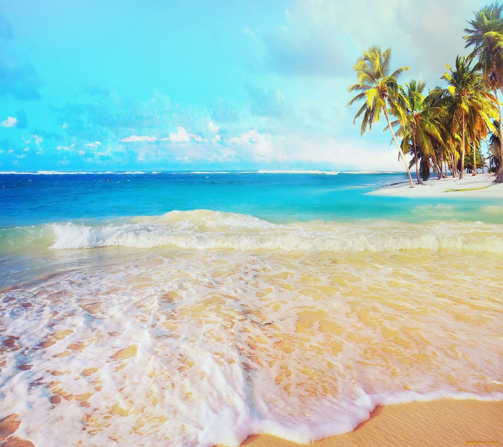 Toma aérea de una playa con palmeras y un océano azul (paraíso, tropical)