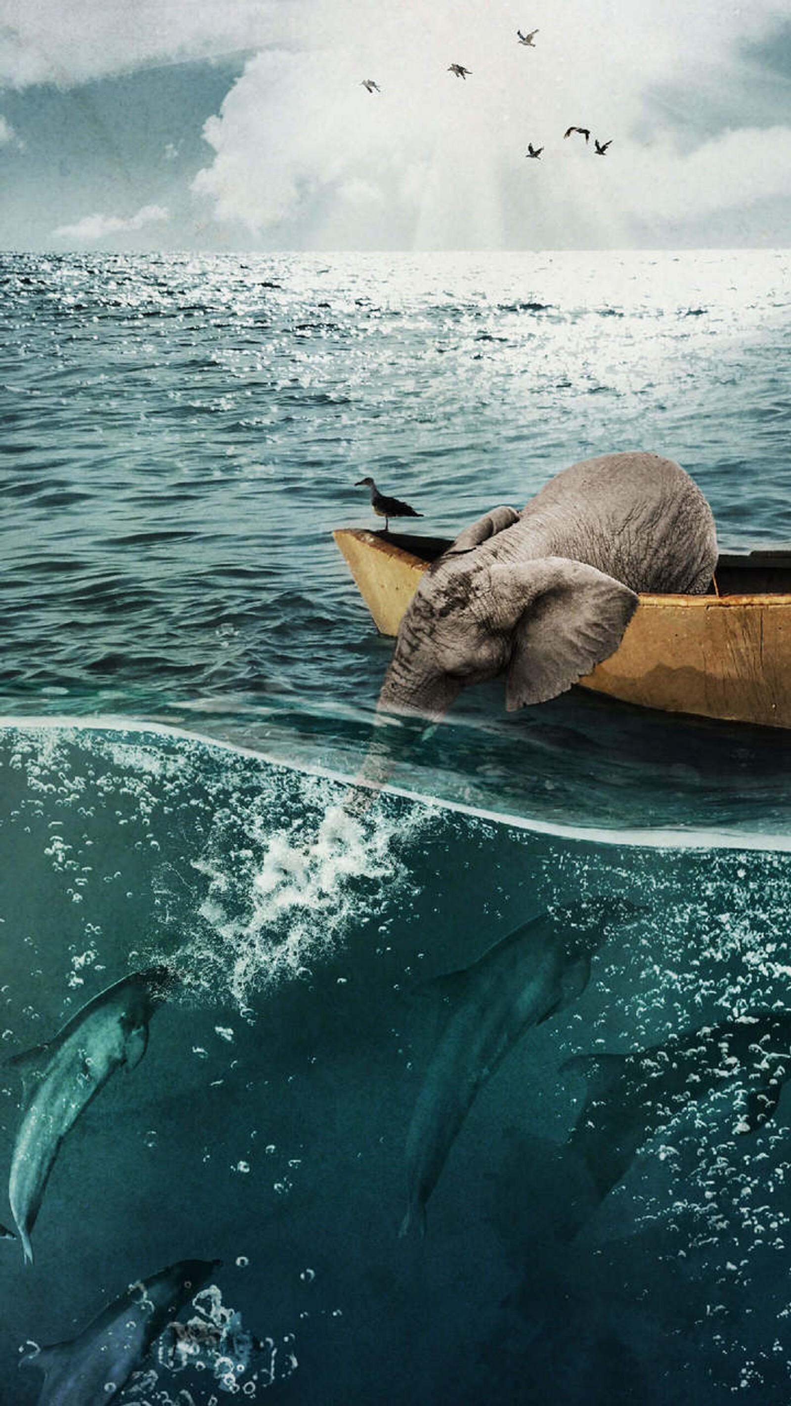 Há um elefante flutuando na água com um barco (criativo, golfinhos)