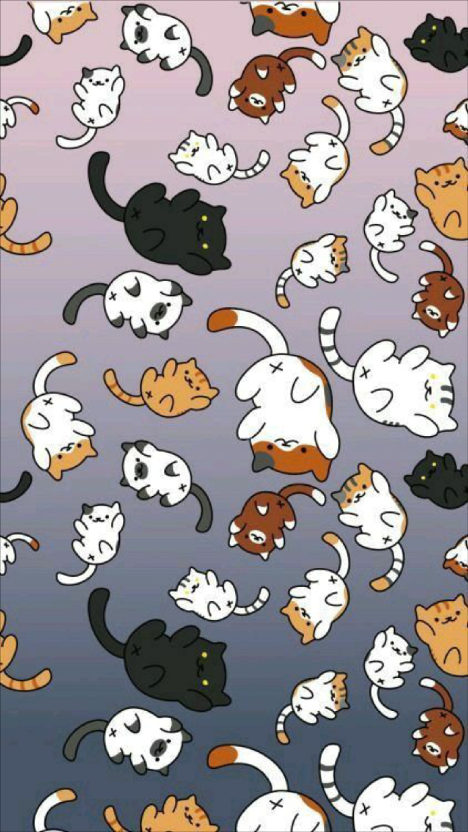 cats, cute Download Wallpaper