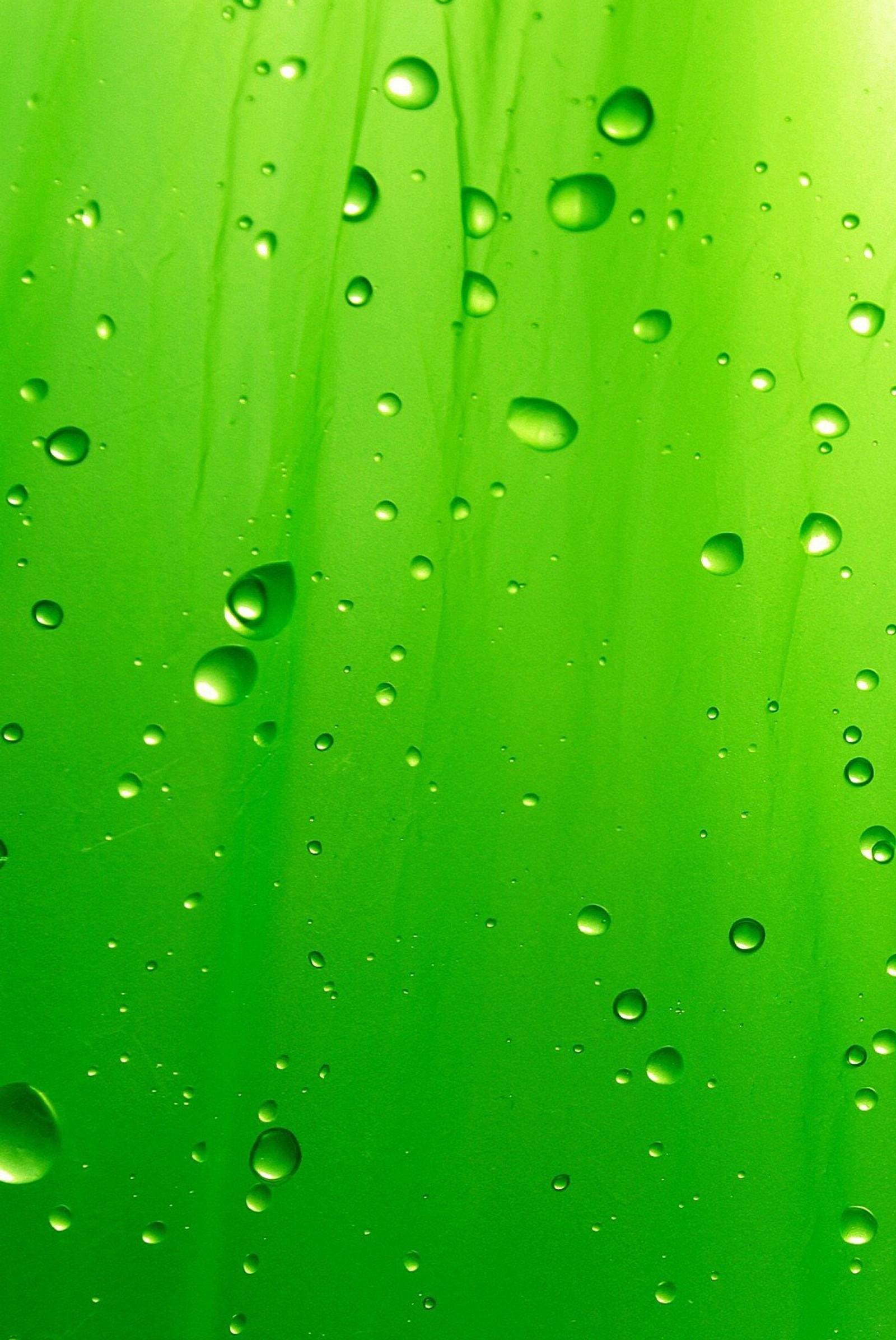 Descargar fondo de pantalla gotas, verde, agua