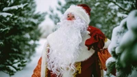 santa claus, ded moroz, christmas day, snow, winter