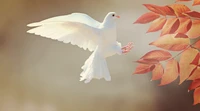 white dove, orange leaves, flying bird, feathers, wings wallpaper