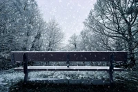 Schneebedeckte Bank in einer ruhigen Winterlandschaft