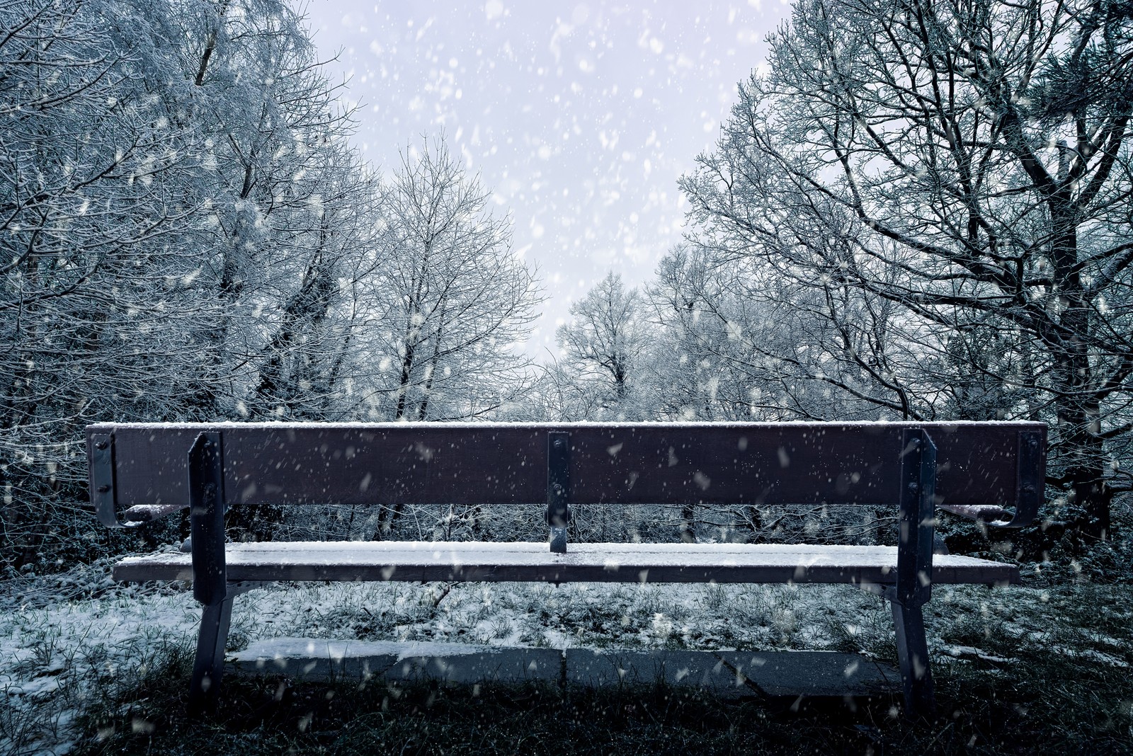 Verschneite szene mit einer parkbank mitten im wald (schnee, winter, baum, gefrieren, natürliche landschaft)