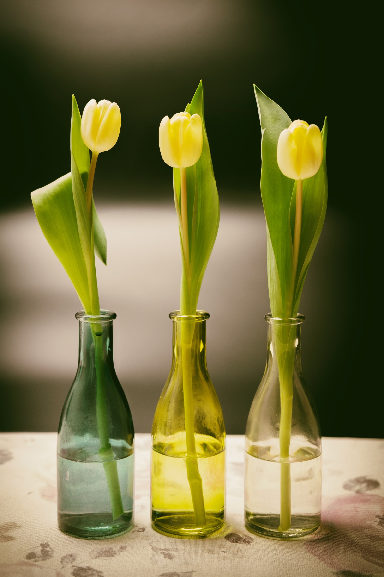 Trois vases avec des fleurs sur une table (jaune, vase, vert, fleur, plante)