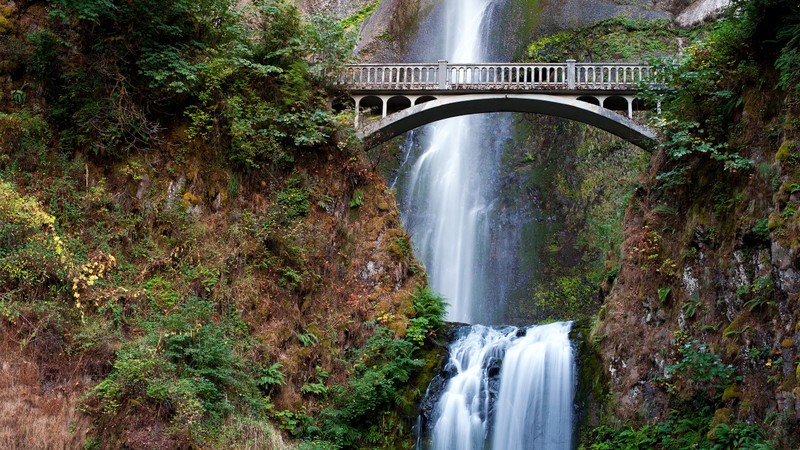 Воздушный мост над водопадом с водопадом внизу (водопад мультномах, multnomah falls, река колумбия, водопад, водные ресурсы)