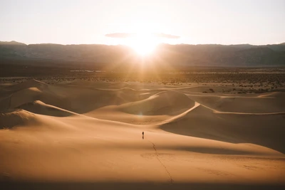 Morgenlicht über den Sahara-Dünen