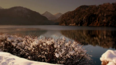 Winter Morning Reflections on a Snow-Covered Lake