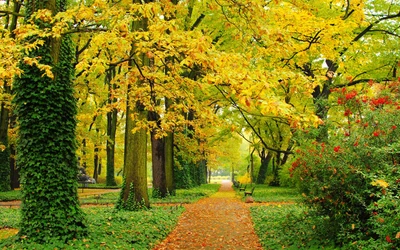 Herbstliche Gelassenheit in einem Botanischen Hain