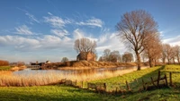 baum, wolke, gras, ländliches gebiet, feld