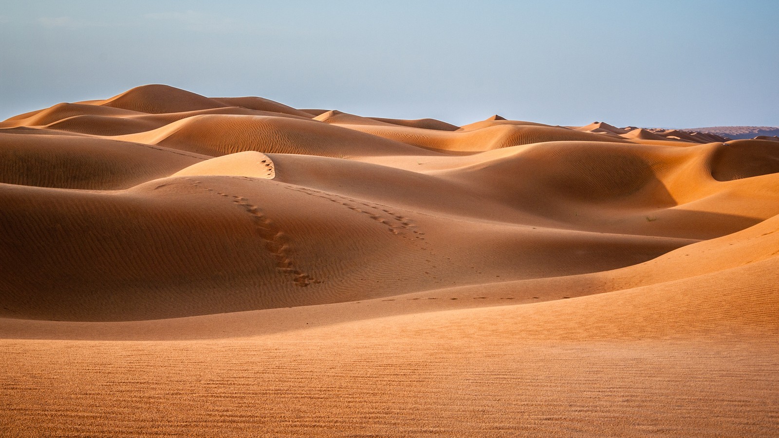 Скачать обои пустыня, дюна, dune, путешествие, песок