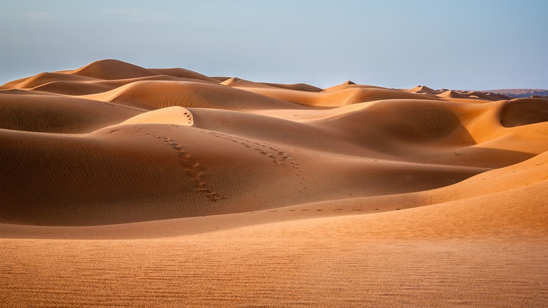 Близкий план пустыни с несколькими следами на песке (пустыня, дюна, dune, путешествие, песок)