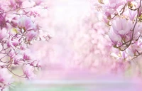 magnolia flowers, blossom, pink background, pink flowers, flowers wallpaper