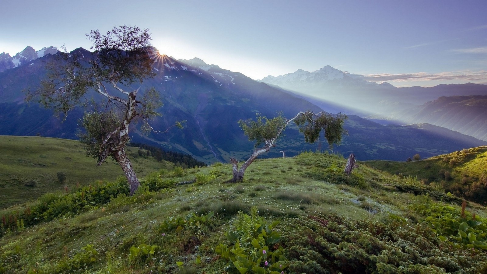 Des montagnes et des arbres sur une colline herbeuse sous un ciel bleu (formes montagneuses, hauts plateaux, montagne, nature, végétation)