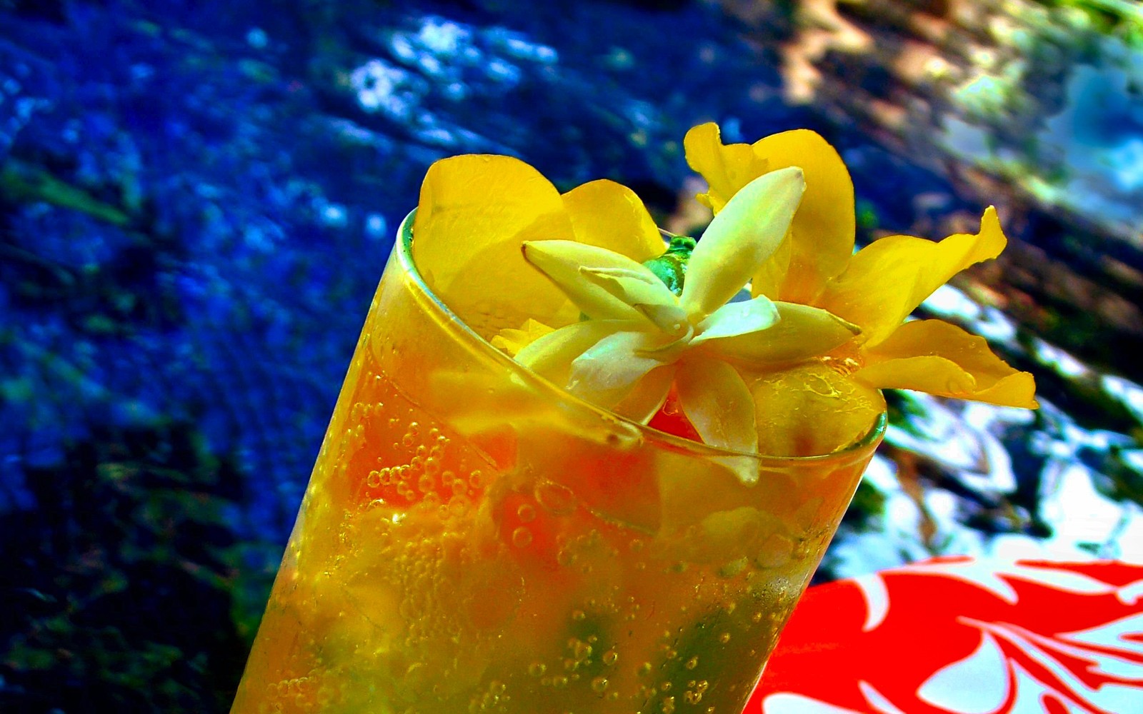 Un vaso de jugo de naranja con una flor dentro (cóctel, decoración de cócteles, mai tai, bebida, bebida destilada)